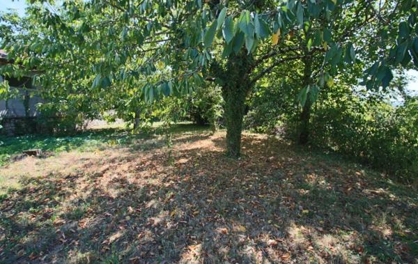 Vente Maison Puy-l'eveque   