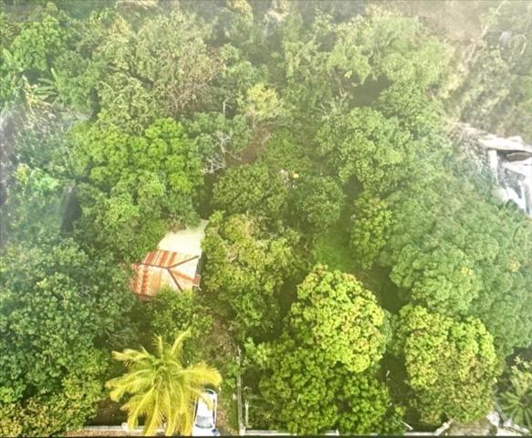 Terrain à Batir à vendre à Saint-Pierre à la Réunion (97410), ref : 97410-1088926