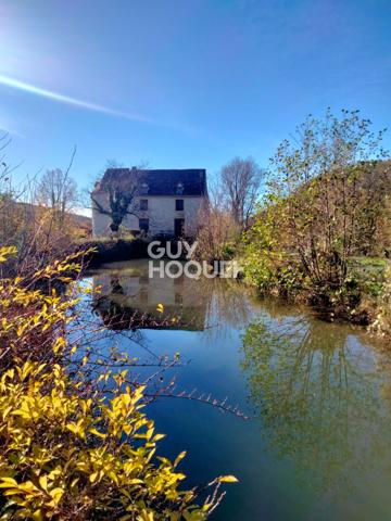 MOULIN à vendre de 5 pièces de 134 m² avec dépendances