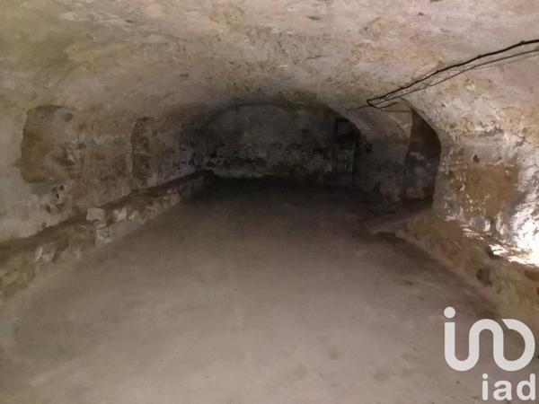 Maison 10 pièces de 300 m² à Argenton-sur-Creuse (36200)