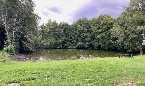 Maison à vendre à Villaines-la-Juhel (53700) - Mayenne