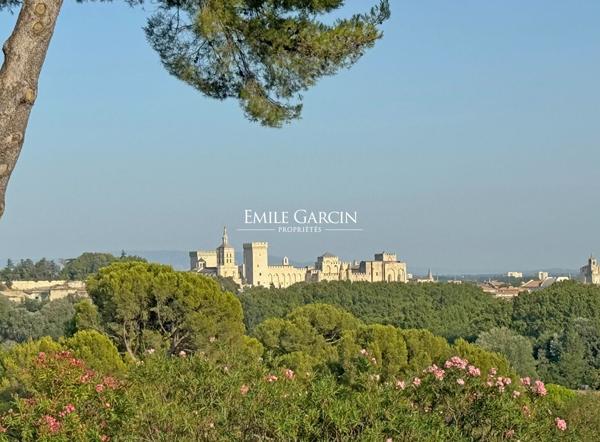 A vendre - Villa avec vue exceptionnelle sur le Palais des Papes - Villeneuve Les Avignon
