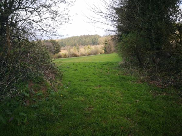 Terrain agricole de 13 000 m² avec bâtiment agricole récent  Idéal projet équestre ou petite agriculture