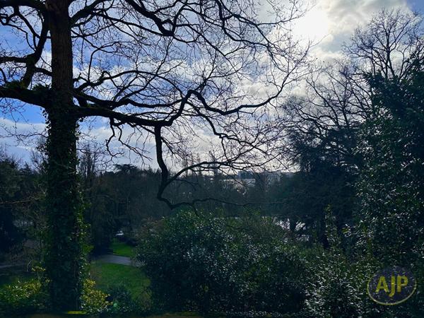 Vente appartement Nantes : 304 500 € - AJP Immobilier Nantes Ouest