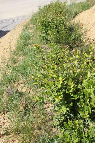 Lotissement de 1 200 m²