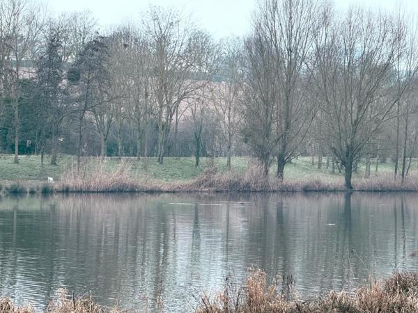 SPACIEUX 5 PIECES LUMINEUX ! Travaux de rénovation énergétique VOTES ET PAYES