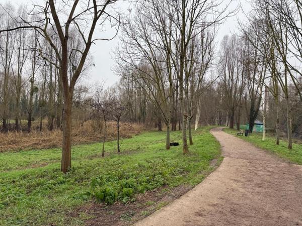 SPACIEUX 5 PIECES LUMINEUX ! Travaux de rénovation énergétique VOTES ET PAYES