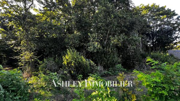 A VENDRE - TERRAIN CONSTRUCTIBLE RARE 1 261m² VIABILISÉ NIEUL-SUR-MER