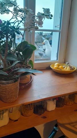 Appartement à vendre 3 pièces LE CROISIC (44)