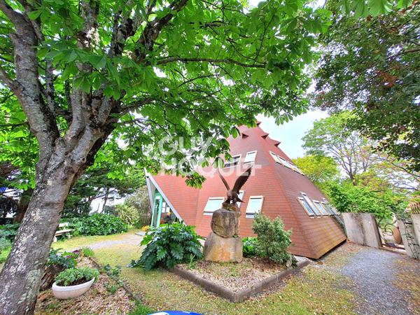 IDEAL INVESTISSEUR PROFESSIONNEL, FORT POTENTIEL