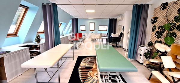 IDEAL INVESTISSEUR PROFESSIONNEL, FORT POTENTIEL