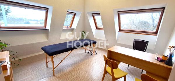 IDEAL INVESTISSEUR PROFESSIONNEL, FORT POTENTIEL