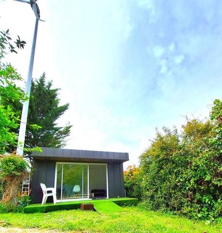 IDEAL INVESTISSEUR PROFESSIONNEL, FORT POTENTIEL