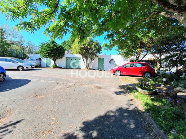 IDEAL INVESTISSEUR PROFESSIONNEL, FORT POTENTIEL