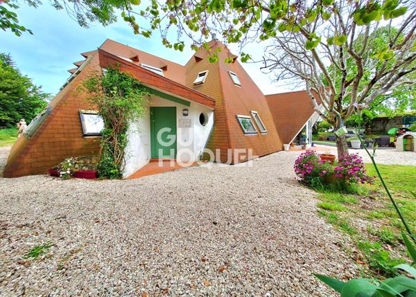 IDEAL INVESTISSEUR PROFESSIONNEL, FORT POTENTIEL