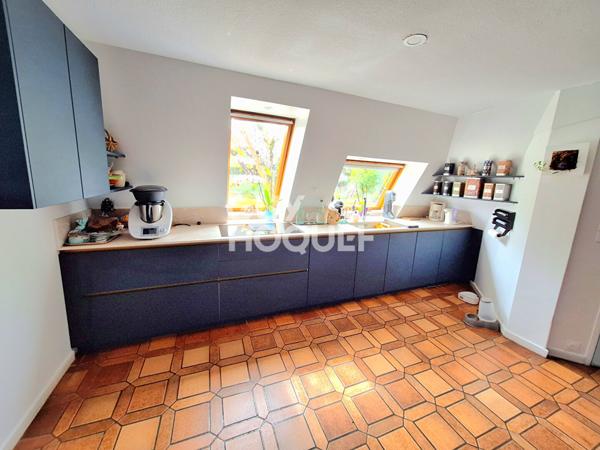 IDEAL INVESTISSEUR PROFESSIONNEL, FORT POTENTIEL