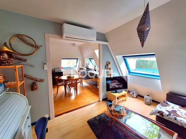 IDEAL INVESTISSEUR PROFESSIONNEL, FORT POTENTIEL