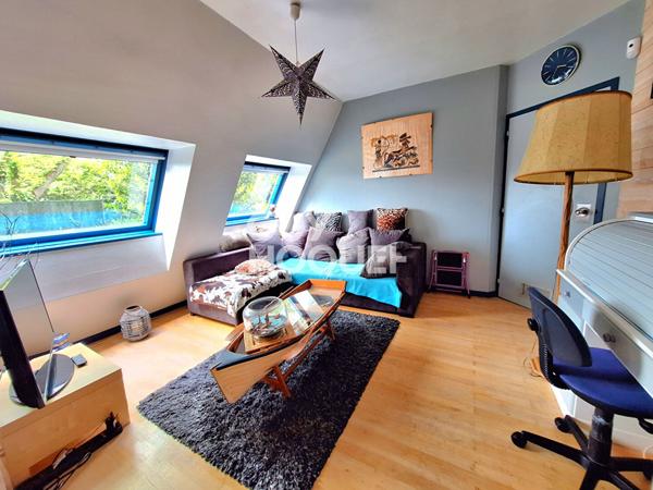 IDEAL INVESTISSEUR PROFESSIONNEL, FORT POTENTIEL