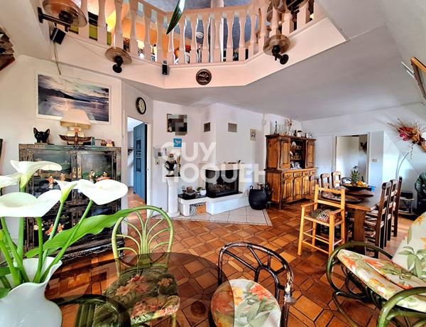 IDEAL INVESTISSEUR PROFESSIONNEL, FORT POTENTIEL