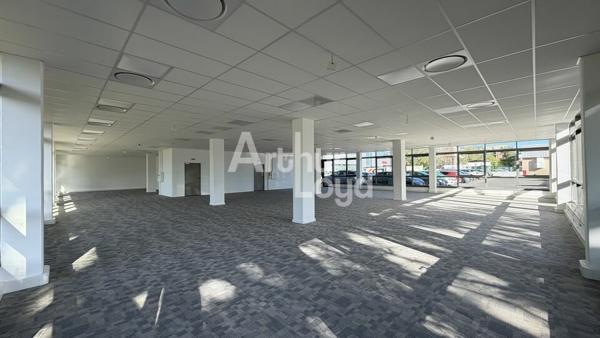 À LOUER : PLATEAU DE BUREAUX DE 434,20 M² DIVISIBLE - REZ DE CHAUSSÉE - UNIVERSITÉ - 10 PARKINGS