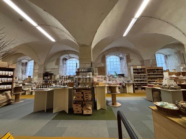 Maisons à vendre 16 pièces CORMATIN (71)