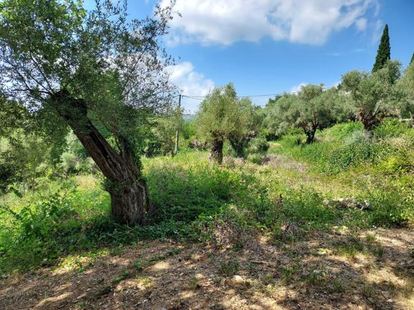 Deux terrains en copropriété pour 2 maisons jumelées, possibilité un terrain pour une maison.