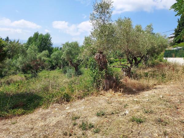 Deux terrains en copropriété pour 2 maisons jumelées, possibilité un terrain pour une maison.