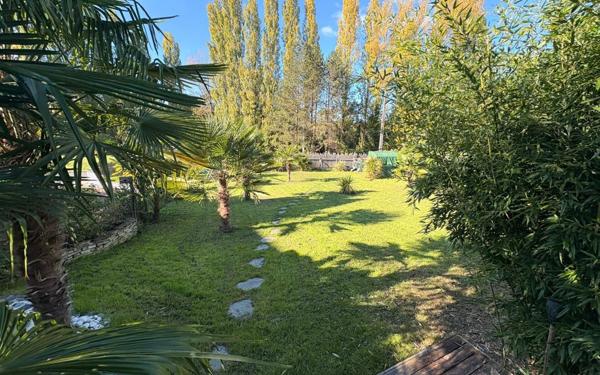 Maison à vendre    6 pièces •  Chissay-en-Touraine