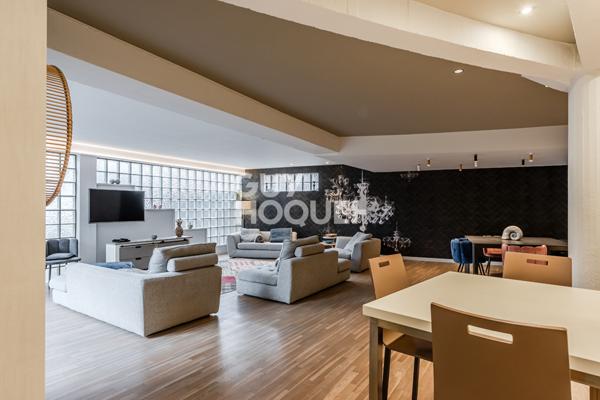 Loft Sainte Foy Les Lyon / Lyon5 156 m2 carrez et 359 M2 de jardin -parking - climatisation et cave