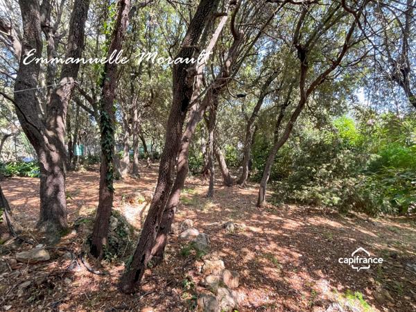 Villa à vendre 4 pièces avec terrasse et piscine BAGNOLS EN FORET (83)