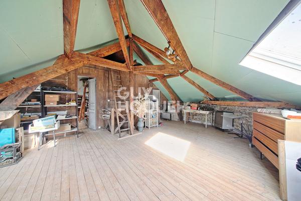 Belle briarde de 13 pièces !