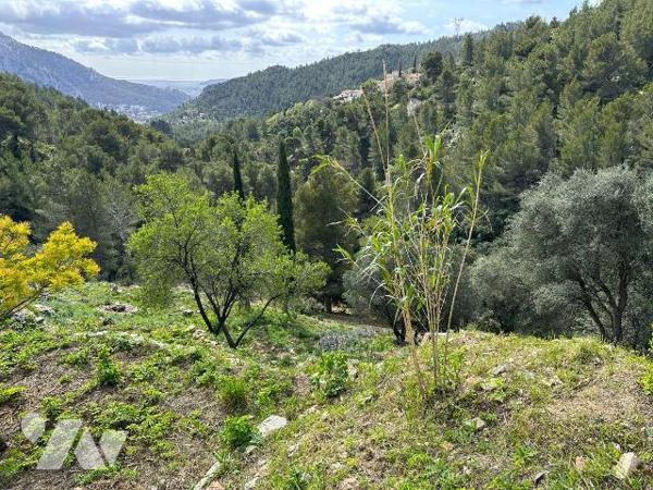  A VENDRE TOULON (VAR) 83200 MAISON VUE MER T4 TOTALISANT ENVIRON 149 M2 ET ANNEXES - TERRAIN 6...