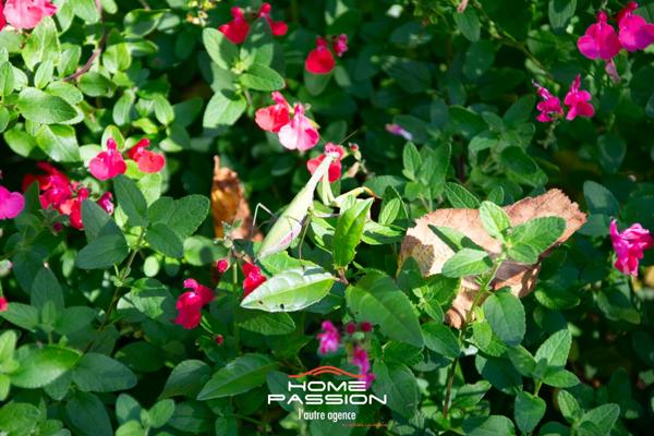 SAINT-PALAIS-SUR-MER - MAISON PLAIN PIED A 5' DE LA PLAGE