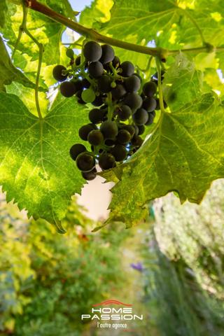 SAINT-PALAIS-SUR-MER - MAISON PLAIN PIED A 5' DE LA PLAGE