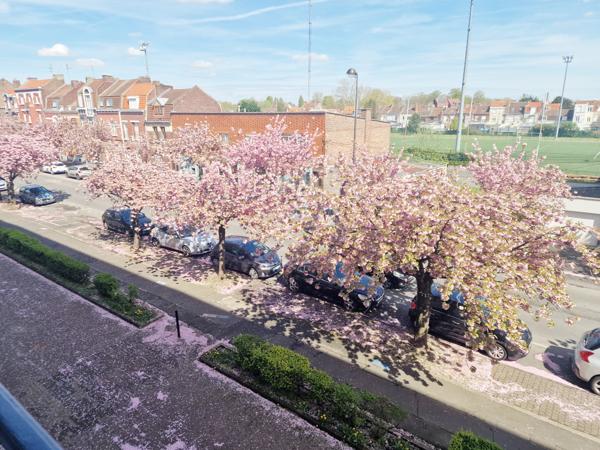 Appartement 3 pièces - 81 m²