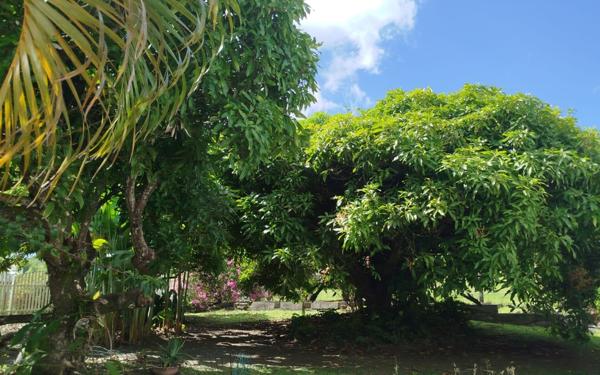 Maison à louer    6 pièces • 147 m2 Sainte-Luce