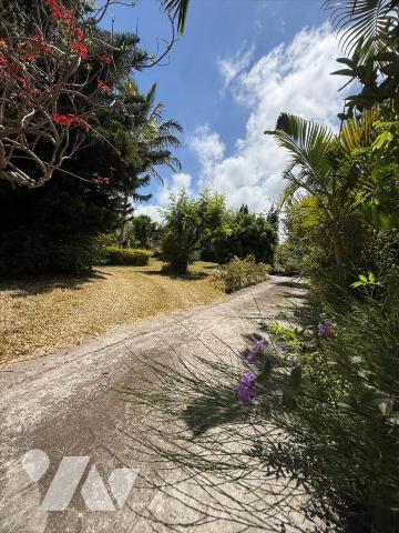 LE TAMPON LA POINTE Villa sur  Grand Terrain Arboré