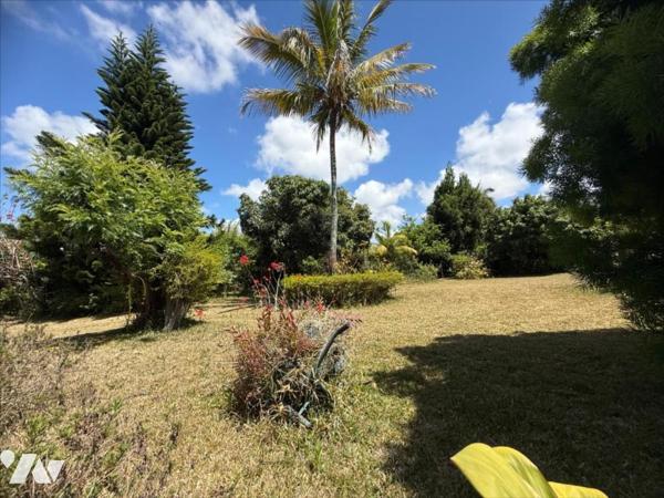 LE TAMPON LA POINTE Villa sur  Grand Terrain Arboré