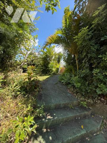 LE TAMPON LA POINTE Villa sur  Grand Terrain Arboré