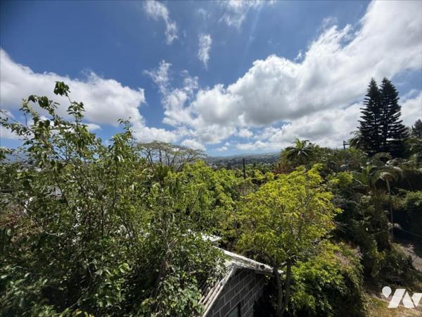LE TAMPON LA POINTE Villa sur  Grand Terrain Arboré