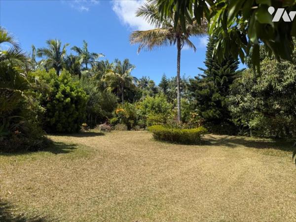 LE TAMPON LA POINTE Villa sur  Grand Terrain Arboré