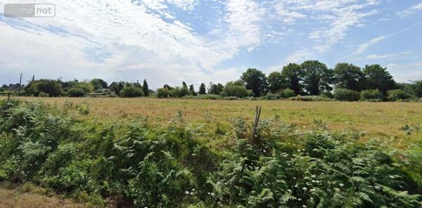 Achat - Terrain à bâtir Mauron 56430 1000 m 2 1000 m 2