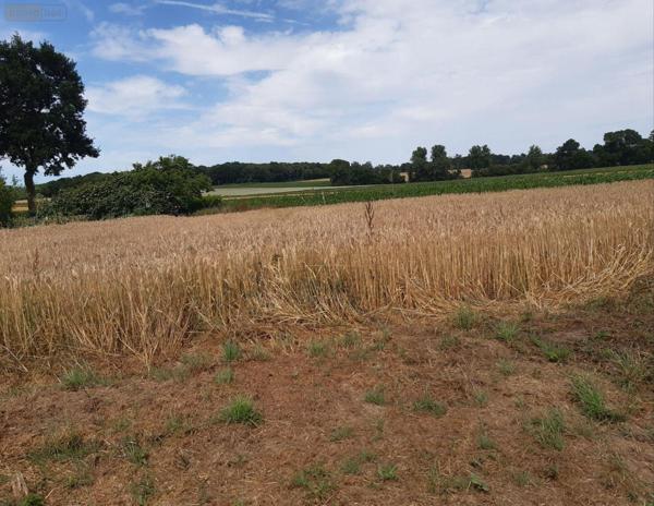 Maison individuelle à vendre à Évellys dans le Morbihan (56500), ref : 063-434