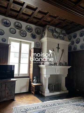 Château Historique d’Exception avec Domaine Viticole