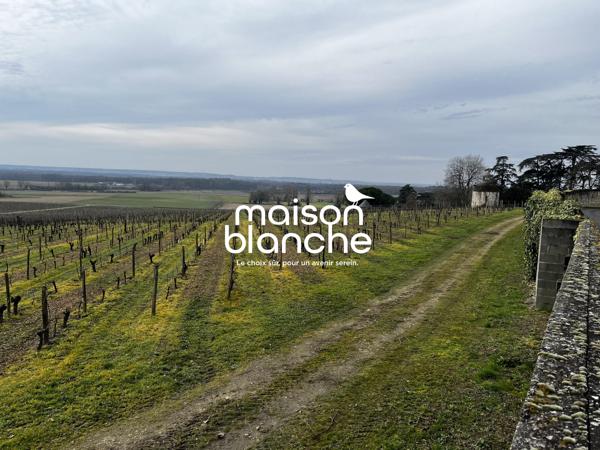 Château Historique d’Exception avec Domaine Viticole
