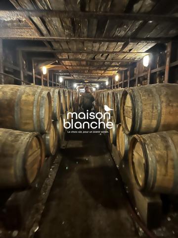 Château Historique d’Exception avec Domaine Viticole