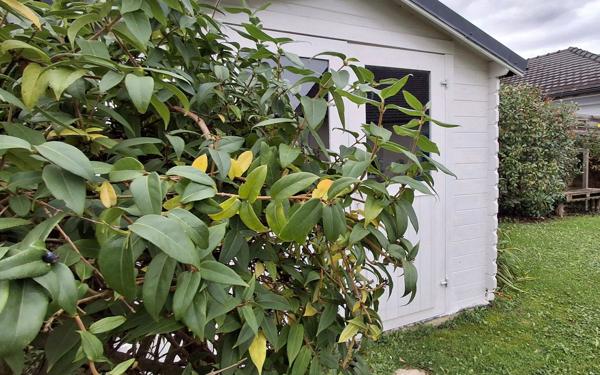 Maison à vendre    5 pièces •  Montardon