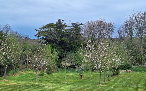 Terrain à vendre    Trébeurden