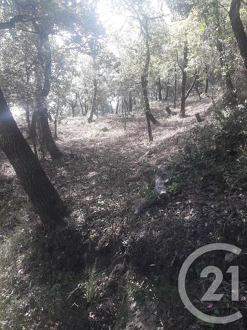Terrain à vendre  4700 m2 MONTESQUIEU DES ALBERES - 66