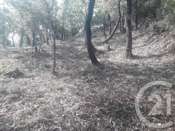 Terrain à vendre  4700 m2 MONTESQUIEU DES ALBERES - 66